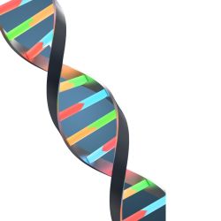 Leader si nasce o si diventa?