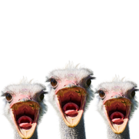 Briefing efficaci da 10 e lode e senza liti