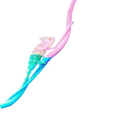 diversai stili di comunicazione come tra cane e gatto