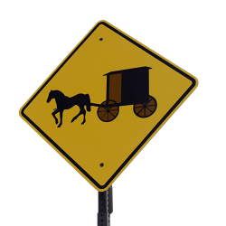 Cos'é il business coaching?