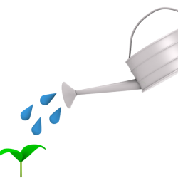 La delega come strumento manageriale e processo di crescita